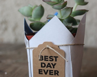 50 Succulent Gift Tags Kraft Brown White or Off White - Perfect Labels for Small Plants, Cactus or Seed Packets