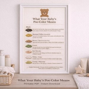 May include: A framed print titled "What Your Baby's Poo Color Means" with a teddy bear illustration. The chart lists various stool colors and their potential meanings, including black, mustard yellow, brown/tan, green, red streaks, white/gray, and foamy/mucousy.