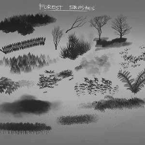 May include: A collection of grayscale forest brush illustrations. The image features various trees, bushes, and foliage, including ferns, tall grass, and a forest of trees. The text "FOREST BRUSHES" is written at the top.
