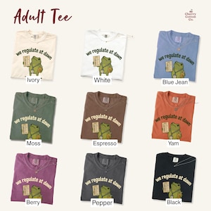 面白いパラエデュケーターシャツ、夜明けに規制するレトロカエルTシャツ、かわいいパラプロフェッショナルギフト、教師助手シャツ、パラ感謝Tシャツ 画像 2