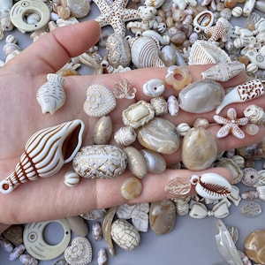 May include: A collection of various seashell-themed beads and charms in shades of white, cream, and brown. The assortment includes starfish, conch shells, and other marine-inspired shapes, perfect for jewelry making or crafting.