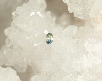 Montana Sapphire Bi-Colored Oval 0.56 Carat