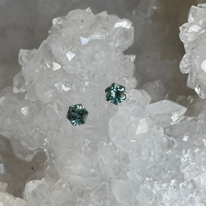 Paired - Montana Sapphire Complimentary Pair 1.04 CTW Green Blue Hexagon Cut