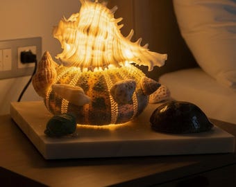 Handmade Coastal Seashell Lamp, Natural Conch Shell Night Light, Ocean Inspired Artistic Decor, Beach House Table Lamp, Unique Nautical Gift