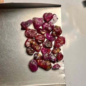 May include: A collection of raw, uncut ruby gemstones. The rubies vary in size and shape, displaying a deep red hue with some areas of darker coloration. The gemstones are displayed on a silver tray.