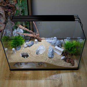 Pu&ograve; includere: Un terrario rettangolare in vetro con substrato di sabbia color sabbia, una luce LED nera sulla parte superiore, rocce grigie, legno, piante in plastica verdi e rovine in resina bianca che includono scale, colonne e un'anfora.