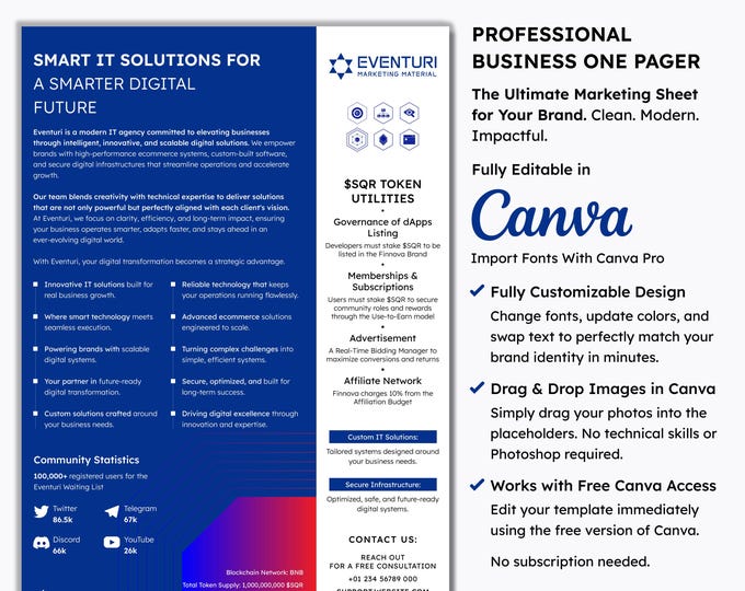 Company Flyer Template | Business Overview One Pager | Executive Summary Sheet | Corporate Marketing | Canva Editable