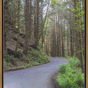 May include: A winding asphalt road curves through a dense forest of tall, slender trees. The road is a light gray color, and the trees are a mix of green and brown. The scene is framed by a decorative border.