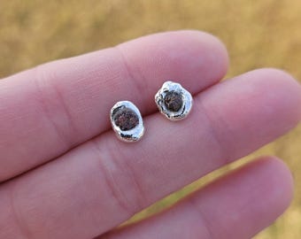 May include: Two small, silver-colored stud earrings. Each earring has a rounded, irregular shape with a dark brown center. The earrings are displayed on a person's hand against a blurred, yellow-green background.