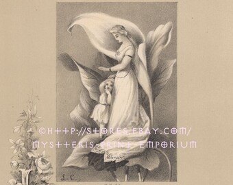 Fairy Queen-Calla Lilly-1877 Antique Vintage Art PRINT-Picture-Engraving-Gothic-Victorian-Lovely Flowers-Poem-Poetry-Garden-Rare Ephemera