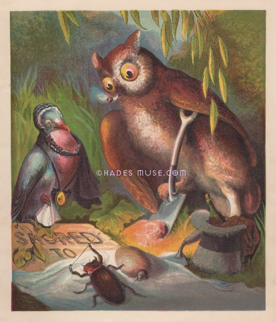 headstone Bird Lithographs