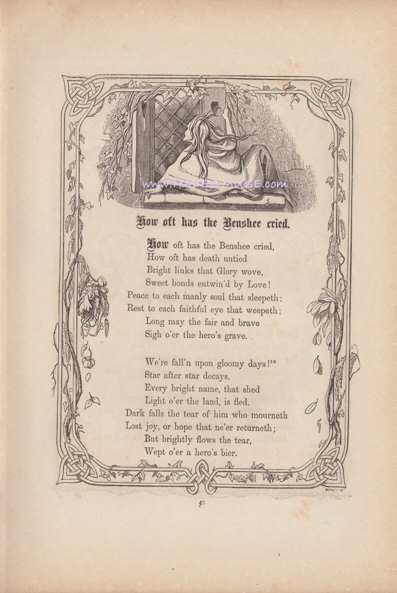 Celtic Banshee Cried-Death Untied-Gloomy Days-Hero's image 0