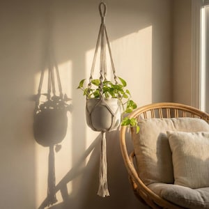 May include: A macrame plant hanger with a white ceramic pot holding green plants. The plant holder is suspended from a ceiling hook. The image is lit by natural light, casting a shadow on the wall. A wicker chair with cushions is in the background.