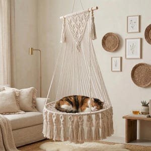 May include: A cream-colored macrame hanging chair with a sleeping calico cat. The chair is suspended from a wooden beam and has a circular base with tassels. Decorative wall art includes framed botanical prints and woven wall hangings.