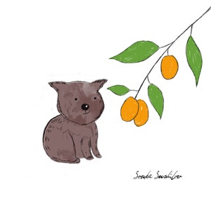 Wombat Print (2 tamaños diferentes) - Animal australiano Tarjetas de felicitación