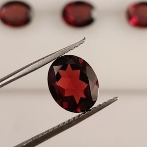 Può includere: Una gemma rosso scuro a taglio ovale è tenuta da una pinzetta, che mostra un motivo a stella. Diverse altre gemme simili sono visibili sullo sfondo. Le gemme sono probabilmente granati, perfette per la gioielleria.
