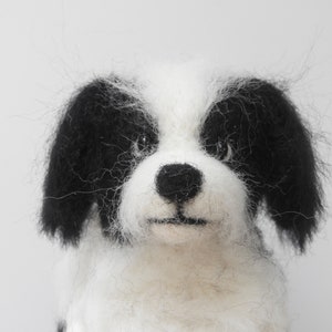 May include: A close-up of a black and white needle felted dog. The dog has black ears and a black nose. The dog is looking directly at the camera.