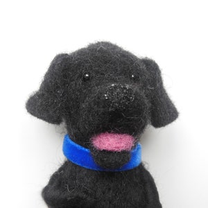 May include: A black felt dog toy with a blue collar. The dog has a pink felt tongue.