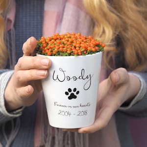 Personalised Pet Memorial Plant Pot - Memorial Gift - Pet Loss Gifts - Pet Death Gift - remember a loved one - rainbow bridge - pawprint