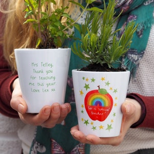 Rainbow Apple Design Plant pot For Teacher - end of term gift for a special teacher - add any message. Teacher gift / desk gift / thank you