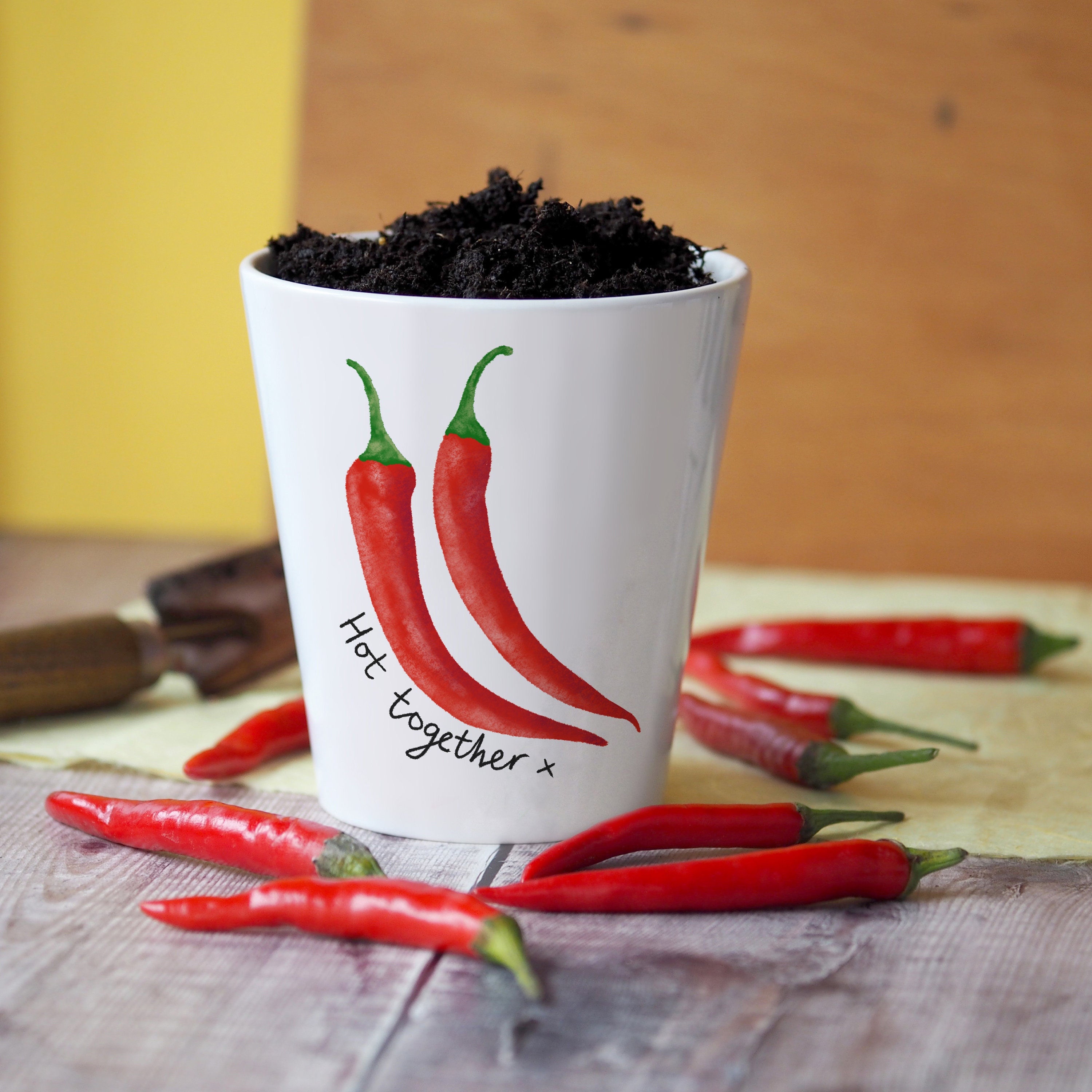 Cheeky Chilli Planter: Hot Together Valentine Gift With Seeds - Etsy