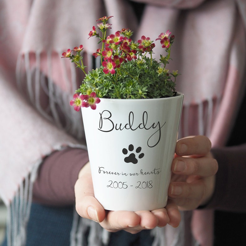 Personalised Pet Memorial Plant Pot Memorial Gift Pet Loss Gifts Pet Death Gift remember a loved one rainbow bridge pawprint image 2