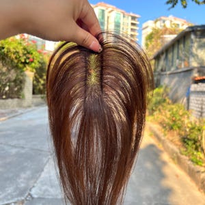 May include: A brown and blonde hair topper held up against a blurred outdoor background. The hairpiece has a mesh base and is designed to add volume and coverage. The hair strands are a mix of dark brown and lighter blonde highlights.