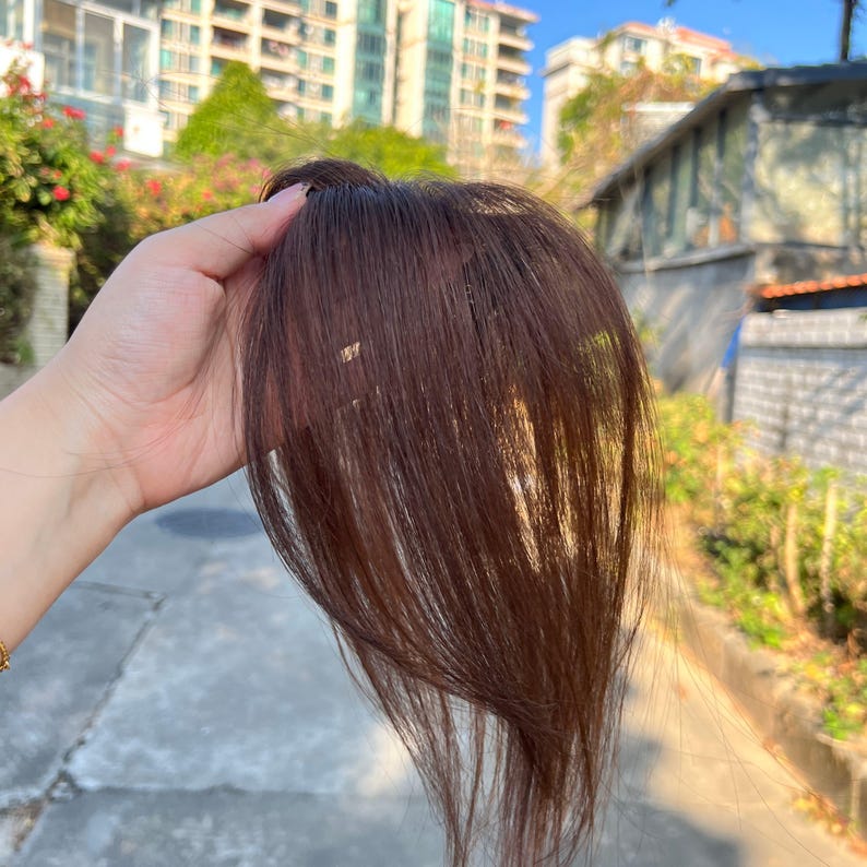 May include: A brown hairpiece, likely a wig or hair extension, is held up against a blurred outdoor background. The hair appears to be straight and has a natural, reddish-brown hue. The hairpiece is designed to add volume or length.