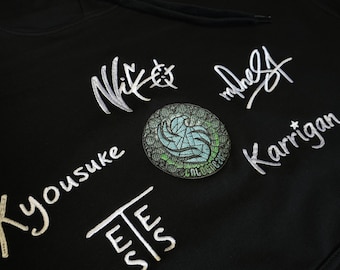 Full big embroidery Team Falcons Cologne 2026 Custom - FPS CSGO CS2 Gamer Slang Graphic Hoodie | Streetwear Gaming Sweatshirt | Unisex