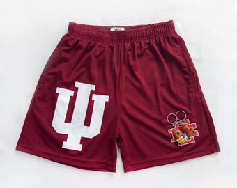 EE Crimson Varsity Mesh Basketball Shorts, College Style Athletic Shorts, Retro Sports Game Day Shorts for Men Women College Crimson Shorts