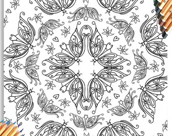 Adult Colouring Book Page - Butterfly Pattern