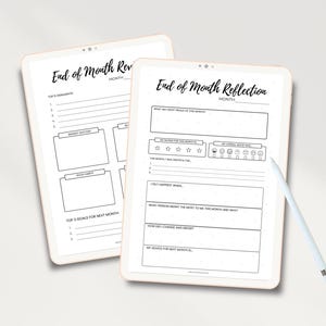 Monthly Reflection Printable, End of Month Review, Goal Setting (Canva Editable) (Digital Download)