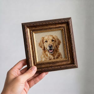 Może przedstawiać: Oprawiony portret psa rasy Golden Retriever. Obraz przedstawia psa z jasnobrązową sierścią i radosnym wyrazem twarzy. Rama jest ciemnozłota i ozdobna.