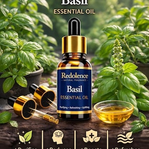 Olio essenziale puro di basilico (Tulsi) / Aromaterapia a base di erbe per il rilassamento e la meditazione