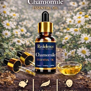 Op de afbeelding: Een flesje Kamille etherische olie met een gouden dop en pipet, met de tekst "Redolence" en "Chamomile Essential Oil". De afbeelding bevat een klein bakje olie en iconen met tekst: "Kalmeert de geest", "Verlicht zorgen" en "Kalmeert de huid".