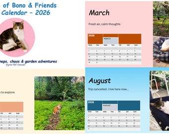May include: A digital PDF calendar titled "The Life of Bono & Friends - A Cat Calendar - 2026." The calendar features images of cats, with calendar pages for March, May, and August. The calendar includes the text "12 months of naps, chaos & garden adventures."