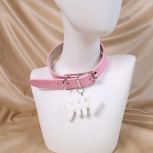 Peut inclure: Un collier rose clair avec une boucle argentée et un charm en forme d'arête de poisson blanche. Le collier est présenté sur une tête de mannequin blanche. Le collier est en matière lisse.