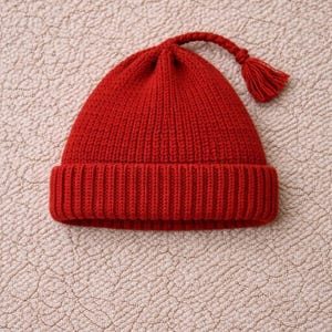 May include: A vibrant red knit beanie with a ribbed brim and a braided tassel detail. The hat is made of a soft, textured material and is designed to keep the head warm. A stylish winter accessory.