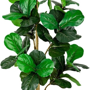 5FT Artificial Fiddle Leaf Fig Tree White Planter