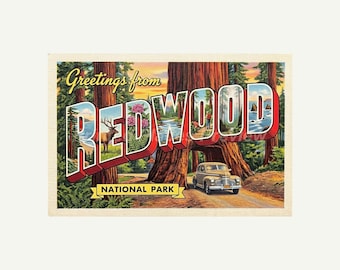 Redwood National Park Postcard, Retro Greetings From Wall Art Print, Vintage Printable Decor, Digital Download Gift