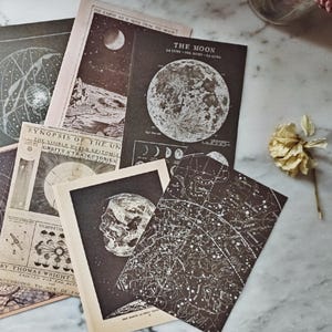 Può includere: Una collezione di cartoline rettangolari in carta con illustrazioni astronomiche in stile vintage, inclusi diagrammi della luna, costellazioni, orbite planetarie e testi scientifici come The Moon, The Seasons e Synopsis of the Universe.