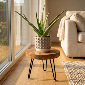 May include: An aloe vera plant in a gray, textured pot sits on a small, round wooden table with black hairpin legs. The table is placed in front of a large window, with a beige sofa and rug in the background.