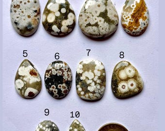 May include: A collection of ten polished gemstones in various shapes, including oval and teardrop. The stones display a mix of colors, such as white, brown, and green, with unique patterns. A US one-dollar coin is included for size reference.