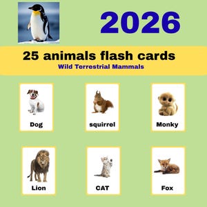 25 Wild Terrestrial Mammals flash cards | Printable Animal Learning Cards for kids PDF.