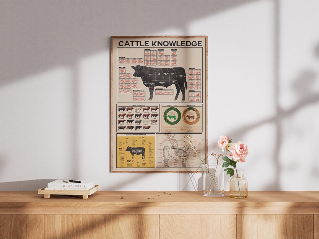 Cattle Knowledge Poster, Beef Cuts Chart, Cattle Breeds, Grass Fed Vs ...