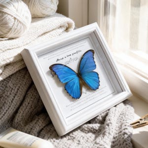Puede incluir: Una mariposa enmarcada con alas azul vibrante y bordes marrones. La mariposa se exhibe en un marco blanco con el texto "Keep a low profile". El marco descansa sobre una manta de punto gris.