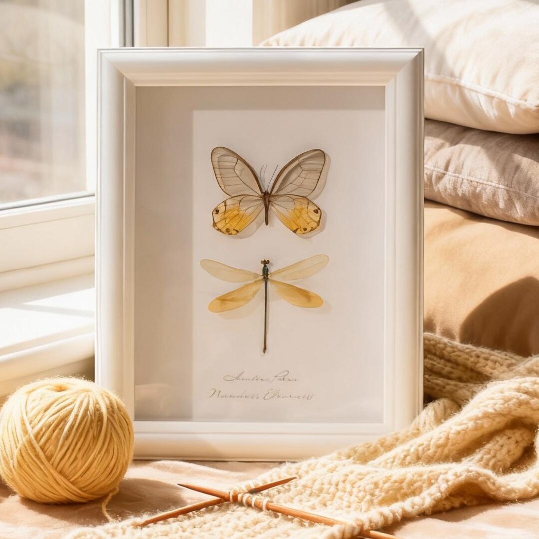 Butterfly Frame Art, Framed Butterfly Display, Butterfly Wall Decor ...
