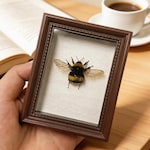 Bee Home Decor
