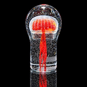 Signed Jaroslav Svoboda Glass Jellyfish Sculpture – Czech Bohemian Studio Art Glass, Marine Biology Gift