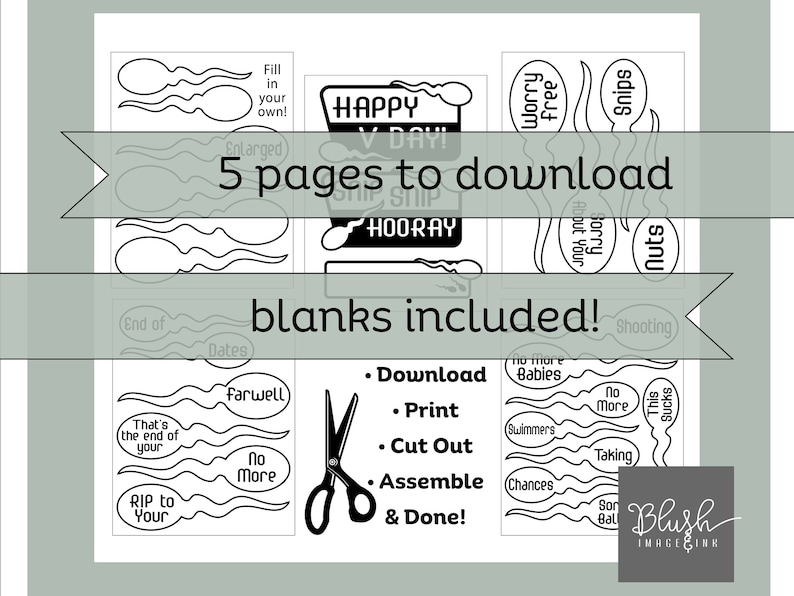 Husband Vasectomy gift for snip snip vasectomy gift for vasectomy party, funny vasectomy basket diy vasectomy kit printable day snip snip image 5
